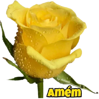 ♥️ emoji @Mensagensemfe Telegram sticker 11 of 118