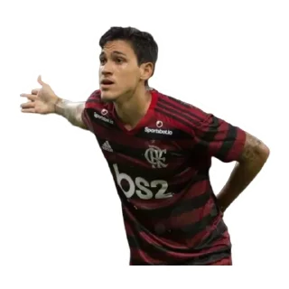 Sticker from Flamengo 2020
