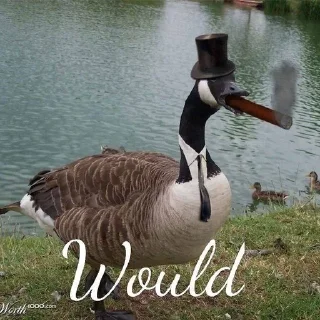 Sticker from Would