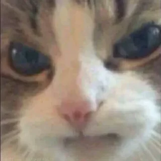 😡 emoji NewxD 4 la venganza d fran Telegram sticker 7 of 120
