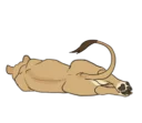 Sticker from Lion Sticker
