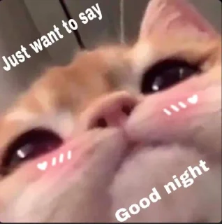 💕 emoji @Le_Patrie (◍•ᴗ•◍) Telegram sticker 17 of 120
