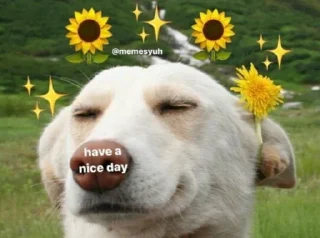 🌻 emoji @Le_Patrie (◍•ᴗ•◍) Telegram sticker 12 of 120