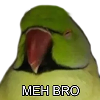 😑 emoji Bro Parrot Telegram sticker 4 of 15