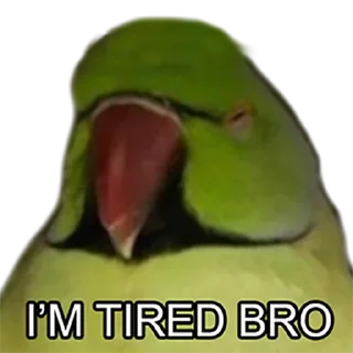 😴 emoji Bro Parrot Telegram sticker 5 of 15