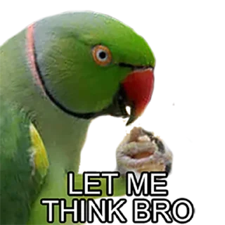 💭 emoji Bro Parrot Telegram sticker 6 of 15