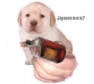 🍺 emoji Meme the Old Blood Telegram sticker 23 of 65