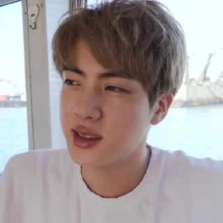 🖇 emoji Jin bts by @stickernct Telegram sticker 11 of 46