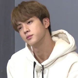 🖇 emoji Jin bts by @stickernct Telegram sticker 2 of 46