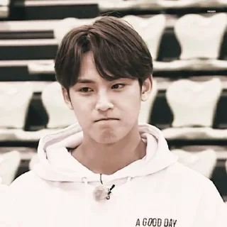 🦅 emoji Ragas as mingyu @ragassaputra Telegram sticker 15 of 61