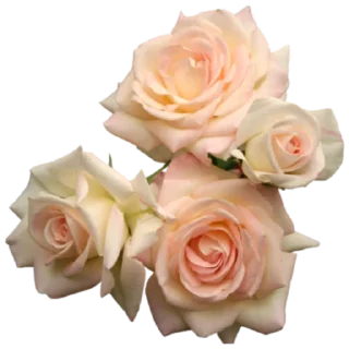 💐 emoji indie Telegram sticker 20 of 73