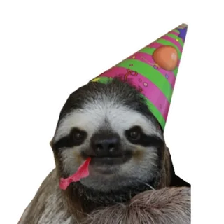 🥳 emoji Fun Sloth Telegram sticker 21 of 31