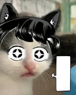 😵‍💫 emoji Gatinhos @moon131203 Telegram sticker 12 of 41