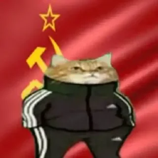🇨🇳 emoji Gatinhos do Zap Telegram sticker 23 of 48
