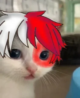 🧐 emoji Gatinhos @moon131203 Telegram sticker 16 of 41