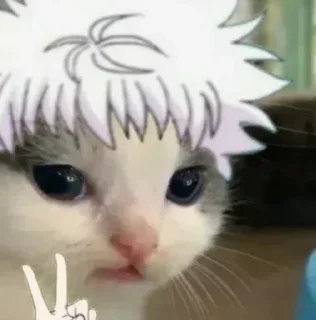 😒 emoji Gatinhos @moon131203 Telegram sticker 24 of 41