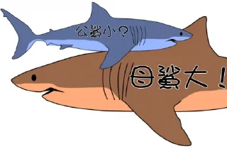 🦈 emoji This is also a sticker pack Telegram sticker 24 of 28
