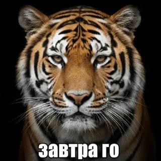 🌟 emoji че за имба стикерпак Telegram sticker 2 of 34