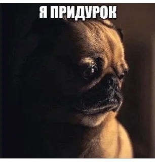 🌟 emoji че за имба стикерпак Telegram sticker 7 of 34