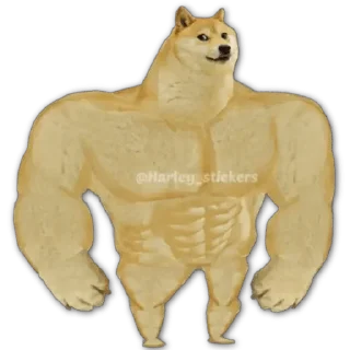 💪 emoji Cats&Dogs Telegram sticker 1 of 24