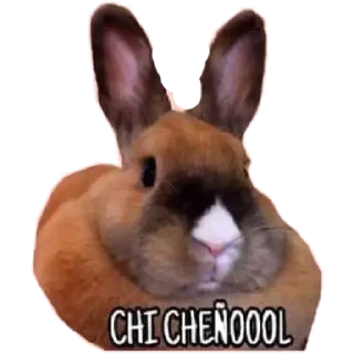 🐰 emoji Best-stickers Telegram sticker 19 of 117