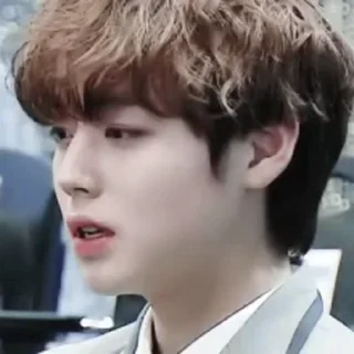 🦜 emoji Park Jihoon by @aratickers Telegram sticker 24 of 42