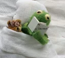 🐸 emoji 🌙 Telegram sticker 5 of 108