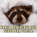 🗣 emoji Mapache Pache Telegram sticker 5 of 120