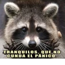 Sticker from Mapache Pache