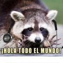 Sticker from Mapache Pache