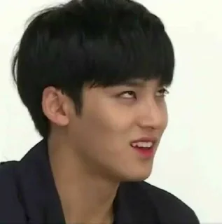 🤡 emoji 𝕸𝖆𝖓𝖚 as Mingyu de bolso. Telegram sticker 22 of 22
