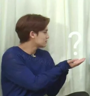 🤡 emoji 𝕸𝖆𝖓𝖚 as Mingyu de bolso. Telegram sticker 10 of 22
