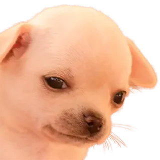 ☹️ emoji Zona norte bbs Telegram sticker 22 of 39