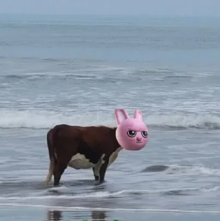 🐰 emoji babi kinci @jeongqin Telegram sticker 17 of 29