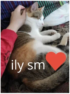 ❤️ emoji Mila Love Bot Telegram sticker 6 of 52