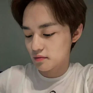 Sticker from zhong chenle @druangkosong