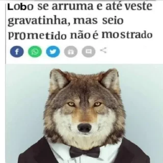 😭 emoji Lobão Da Madrugada @WolfOFCC Telegram sticker 1 of 9