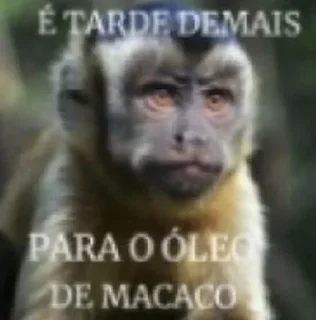 Sticker from ALERTA DE MACACO