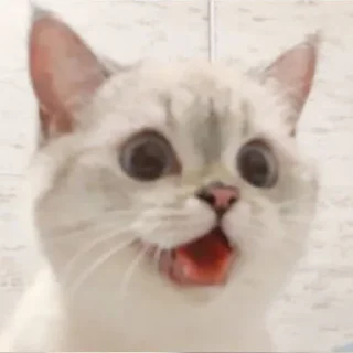 😋 emoji Nana la gatita Telegram sticker 9 of 23