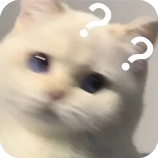 👂 emoji Gatitos fofitos 💞 Telegram sticker 5 of 31