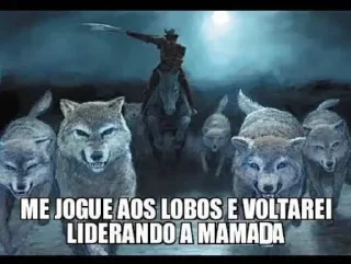 🐺 emoji Orgulho Hétero Telegram sticker 19 of 48
