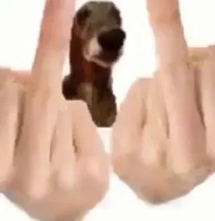 🖕 emoji ceci 6 Telegram sticker 16 of 120