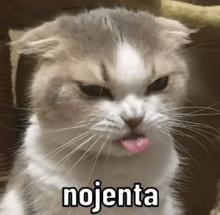 🌟 emoji Esquizofrenia Da Nami Telegram sticker 10 of 41