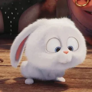 ge, the bunny