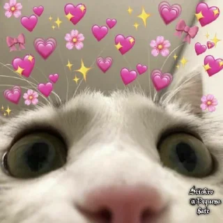 👀 emoji Ƥ֟፝єQυєη֟፝α Hαтє֟፝🖤 @PeQuenaHate Telegram sticker 22 of 120