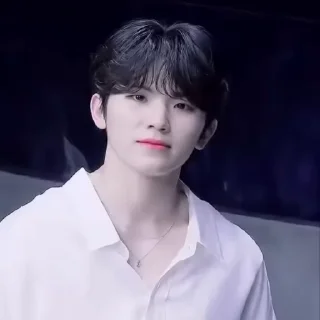 🦜 emoji Woozi 2.0 by @aratickers Telegram sticker 15 of 38