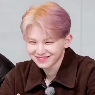 🦜 emoji Woozi 2.0 by @aratickers Telegram sticker 9 of 38