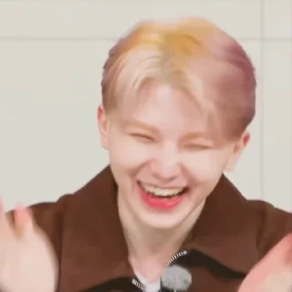 🦜 emoji Woozi 2.0 by @aratickers Telegram sticker 12 of 38