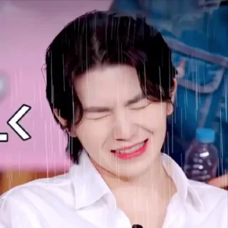 🦜 emoji Woozi 2.0 by @aratickers Telegram sticker 4 of 38