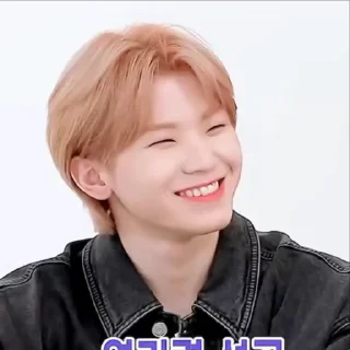 🦜 emoji Woozi 2.0 by @aratickers Telegram sticker 14 of 38